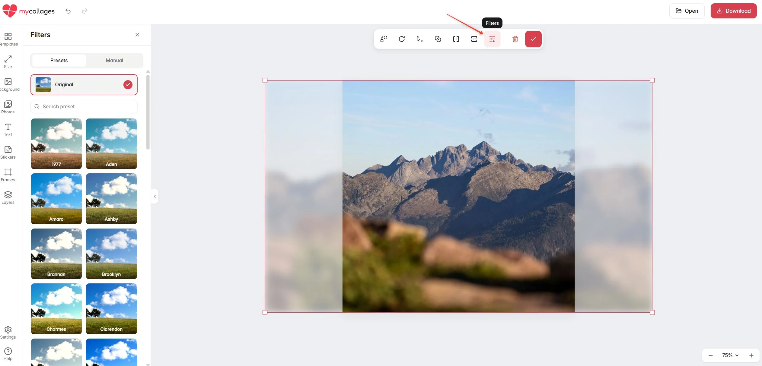 The Filters panel opened for a selected collage cell