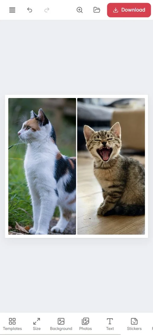 A two-photo collage and the bottom toolbar on a phone